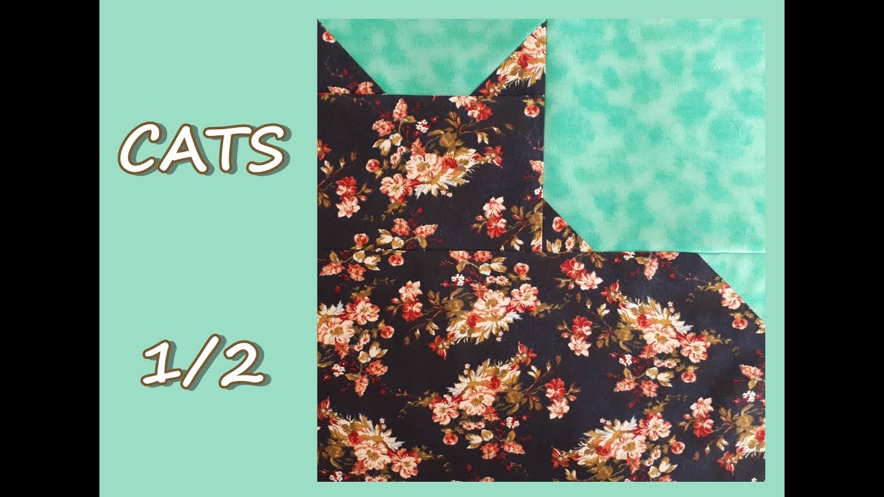 CATS 1/2