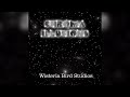 Chroma Illusions - A Wisteria Bird Studios Original