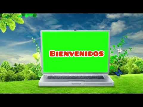 Video: Cómo Comprender La Naturaleza De La Relación De Los Animales Con El Medio Ambiente