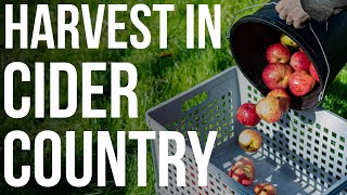 The nomadic life during England's cider harvest | The Craft Beer Channel