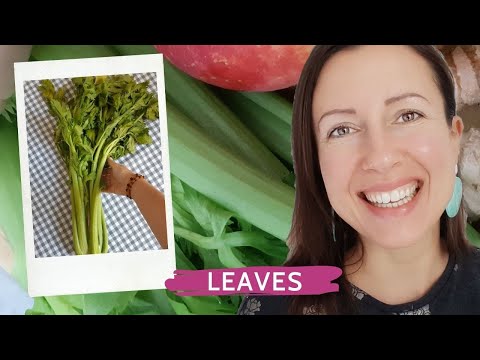 Video: Complete Chemical Composition Of Celery Leaves