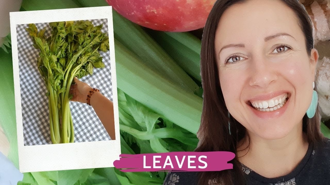 2 Reasons Not To Throw Away Your Celery Leaves