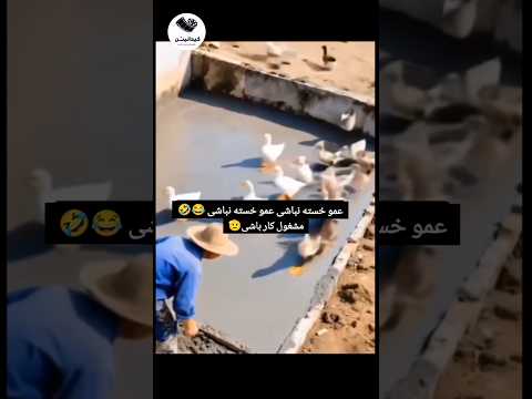 خدایی این آقا اردک ببینه نابودش میکنه مدیا طنز  کلیک فیلم خندارترین فان میم