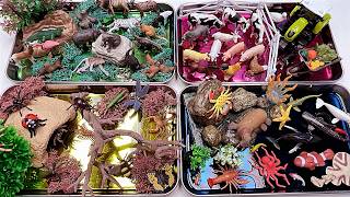 4 Diorama With Jelly Ocean World, Dinosaur World, Farm World, Safari World With Animals