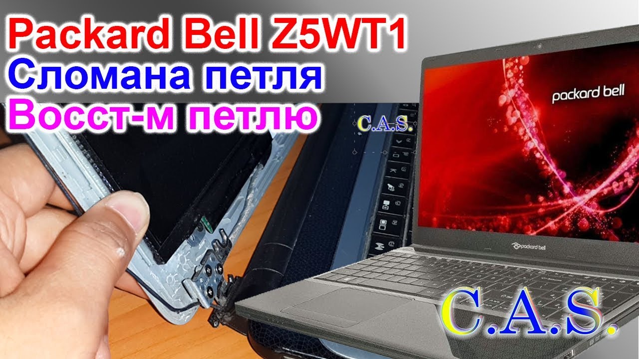 Ноутбук Packard Bell Z5wt1 Купить