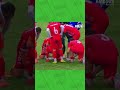 Golpearon a una gaviota en un partido de fútbol y la reanimaron con RCP || Medios Ambar