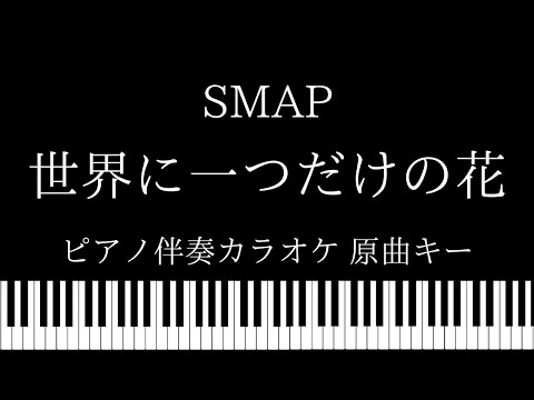 【ピアノ伴奏カラオケ】世界に一つだけの花 / SMAP【女性キー】