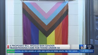 A proposed bill would ban gender transitioning care for those under 18