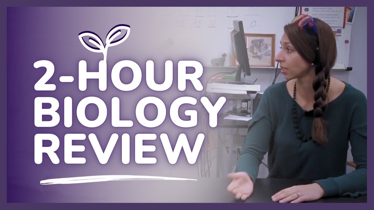 2 hour biology review session // Full Course Biology Study Session