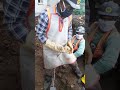 Railway ohe TSS Me Earthing Vertical Working