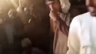 الشاعر عبدالله بن خووار يمدح مهره على كل الشدايد تحتمل وهمدان دوله اعتلى فوق الدول