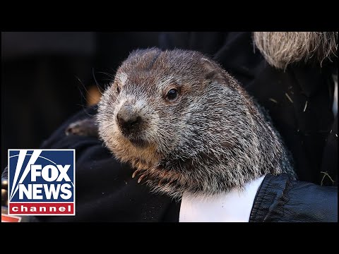 Live: Punxsutawney Phil makes annual prediction during 137th Groundhog Day celebration.