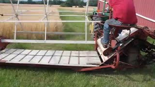 Using a McCormick wheat binder to bind wheat for 2016 FARM Club show