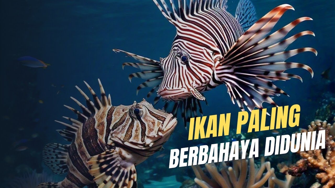 IKAN PALING BERBAHAYA DI DUNIA || Waspada bahaya selalu ada di ...