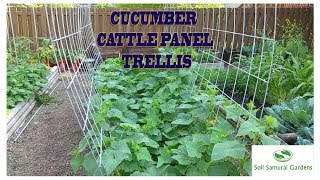 This is the Chuckwagon trellis I nicknamed for its shape. Just a quick video of how I attached it.