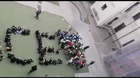 Flash Mob pace Scuole De Amicis