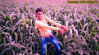 Teri Chal Gadar Chori Chora Ne Maar Dalegi