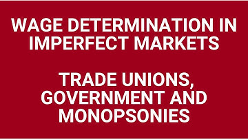 Wage determination in imperfect markets