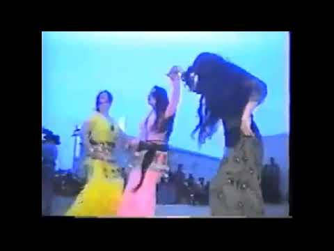 سليم الوافي دبكات