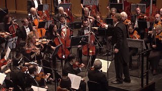 World Doctors Orchestra, Stefan Willich – Beethoven: Symphony No. 5 in C minor