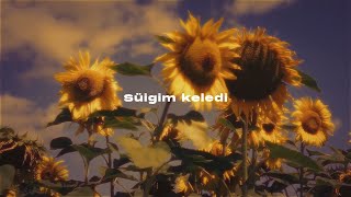 Kyle Ruh - Suigim keledi (Official Audio)