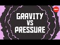 Gravity vs. Pressure: The battle that formed the universe - Fabio Pacucci