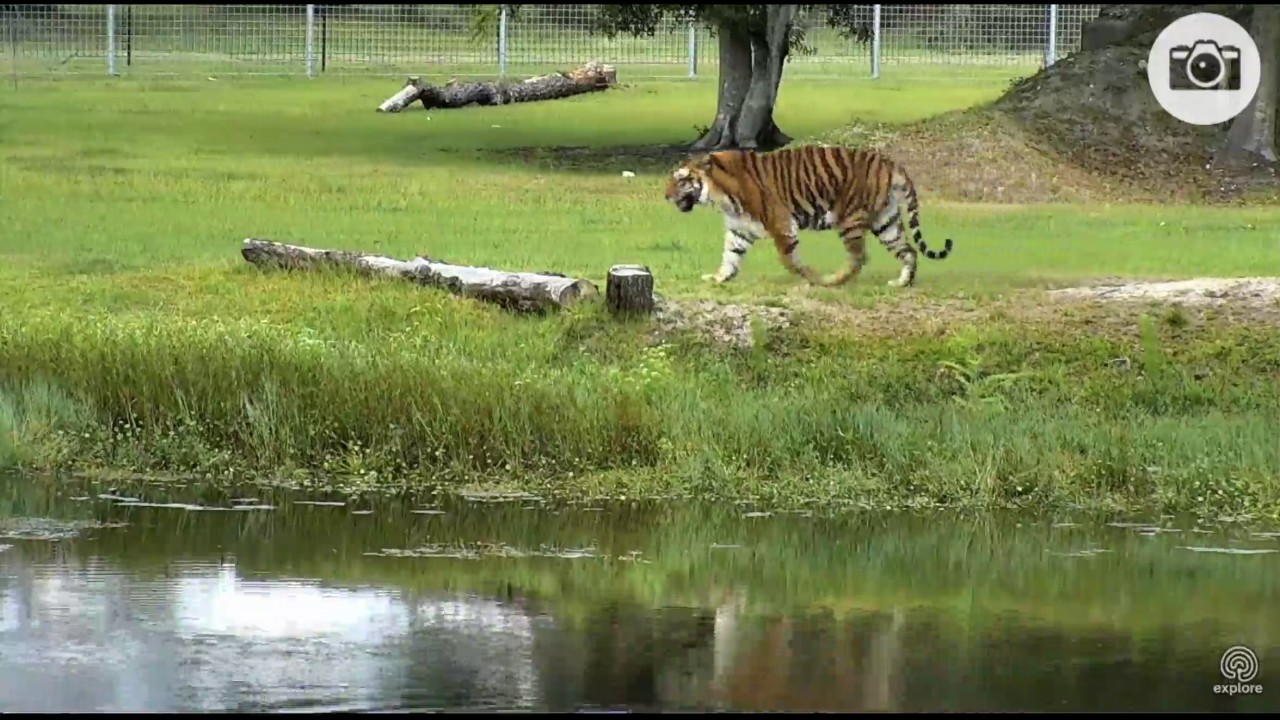 explorer 2 New Vacation Rotation Camera Day 1 TX Tigers