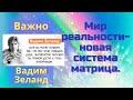 Важно Мир реальности- новая система матрица. Вадим Зеланд