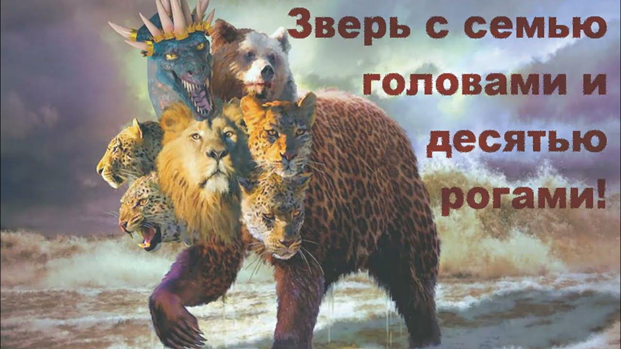 Кто такой звери фото
