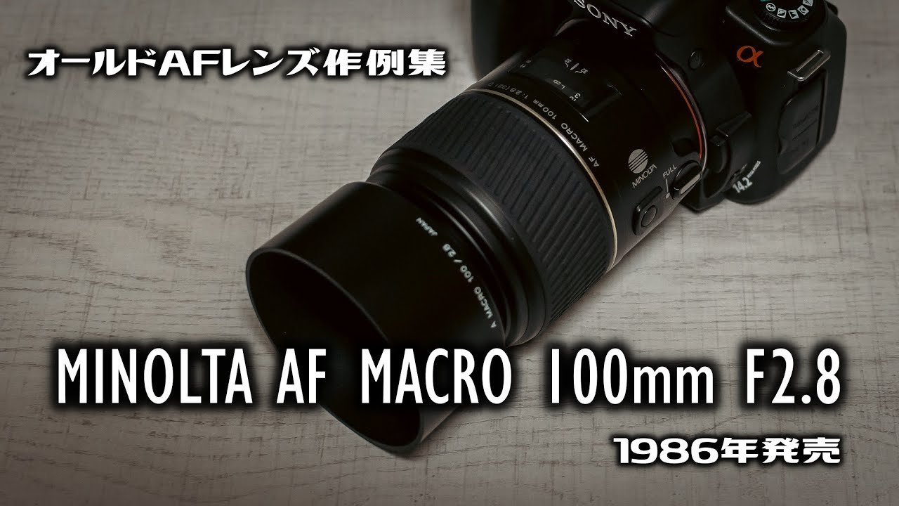 オールドAFレンズ作例集　MINOLTA（ミノルタ） AF MACRO 100mm F2 8