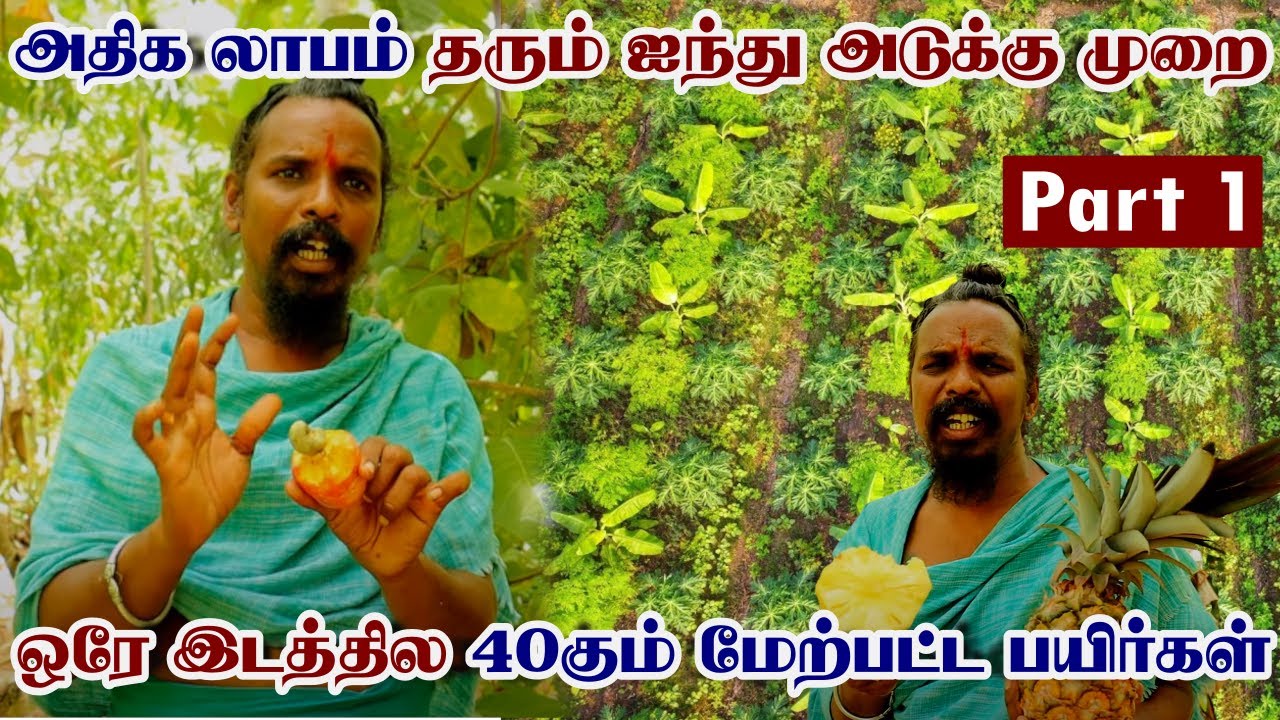 வருடம் முழுவதும் லாபம் தரும் ஐந்து அடுக்கு விவசாயம்  | 40கும் மேற்பட்ட பயிர்கள் | Five Layer Farming
