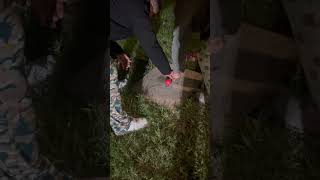 Ladybug Firework Loud