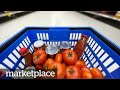 Where do tomato products really come from? Undercover investigation (Marketplace)