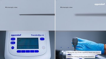 Micromanipulation Tips & Tricks: Optimize the Use of Your TransferMan® 4 / InjectMan® 4