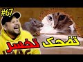 تضحك تخسر #67 : أطرطق الباروود 