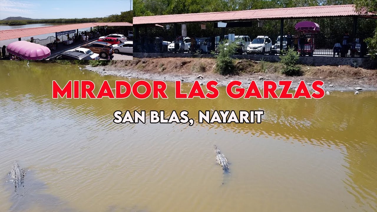 Mirador de Aves y Cocodrilos En San Blas, Nayarit Mirador "Las Garzas