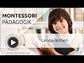 Montessori-Pädagogik: Wie Kinder lesen lernen [Österreichische Montessori-Akademie]