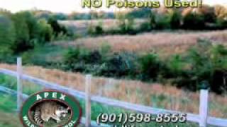 Apex Wildlife Commercial