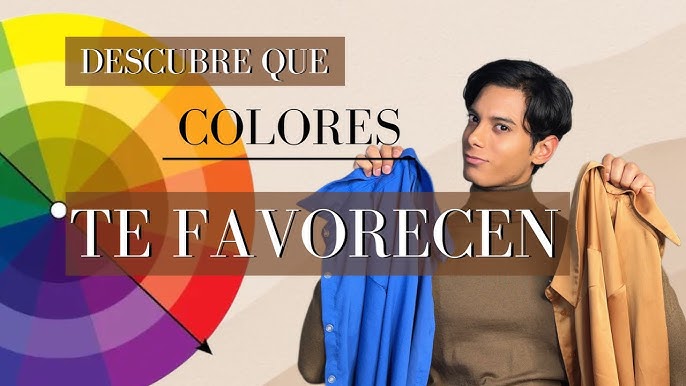 ✓¿Cómo Debemos Ordenar los Colores en Nuestra Paleta?