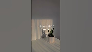 تلاوة هادئة بصوت محمد ايوب#محمد_ايوب #اكسبلور