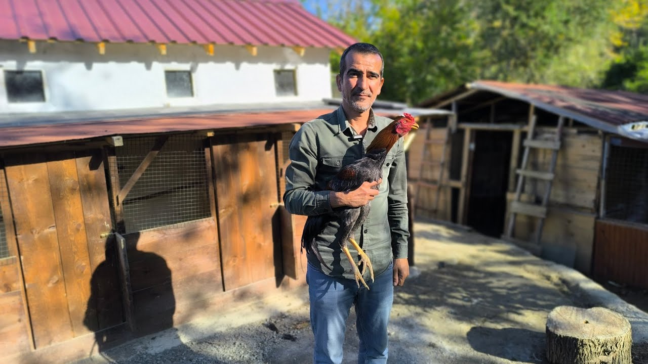 Bugün Sinop'ta Zorbeylerin Mimarı Çorumlu Recep Ustayı Ziyaret Ettik.