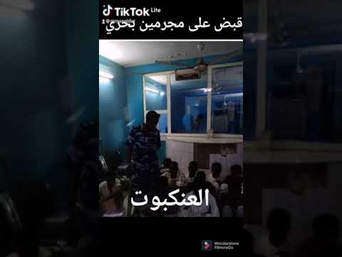 عاجل تم قبض على مجرمين بحري