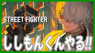 【ストリートファイター6】限定スキンが素晴らしいと噂なのでGETしたって話【アルランディス/ホロスターズ】