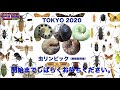 佐々木孫悟空生配信「TOKYO2020 虫リンピック祭り」