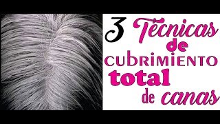 COMO CUBRIR TOTALMENTE LAS CANAS CON ESTAS 3 TÉCNICAS FÁCIL Y RÁPIDO.HOW TO COVER TOTALLY THE grays