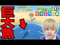 釣竿作ったんで釣りしてらたらとんでもない魚釣れた!!#2【あつ森】【あつまれどうぶつの森】