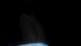 TU mama en tanga