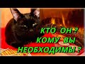 Кто этот мужчина, которому Вы необходимы? Таро Расклад