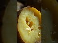 You Won’t Believe How Much Water Is in a Potato! 🥔💧 #Shorts #FunFacts