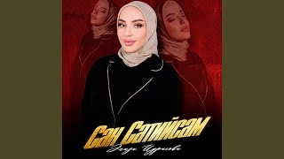 картинка: Сан Сатийсам